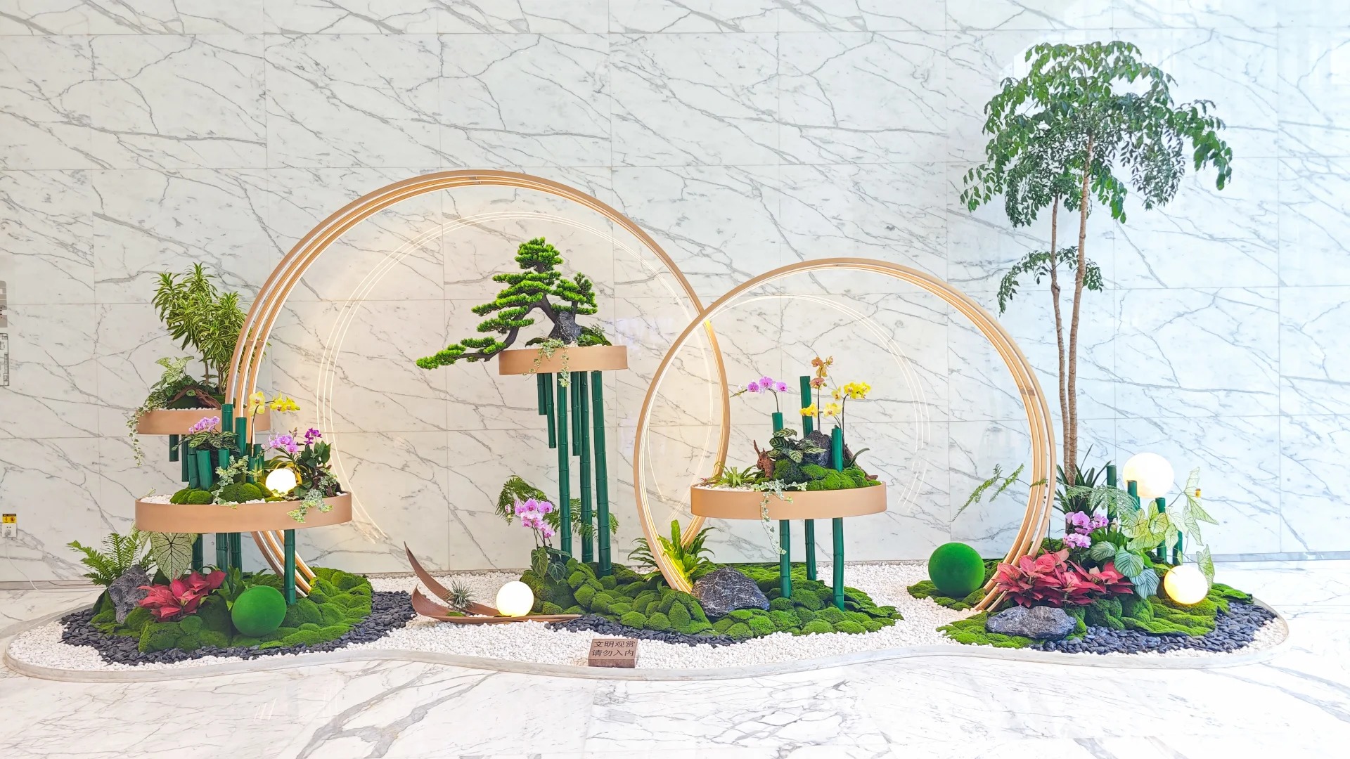 专业绿植出租服务，宁波北仑商业空间的绿色之选！