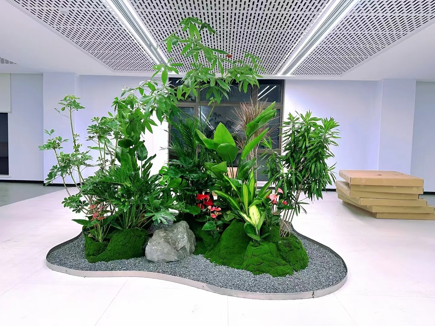 专业绿植出租服务，宁波北仑商业空间的绿色之选！